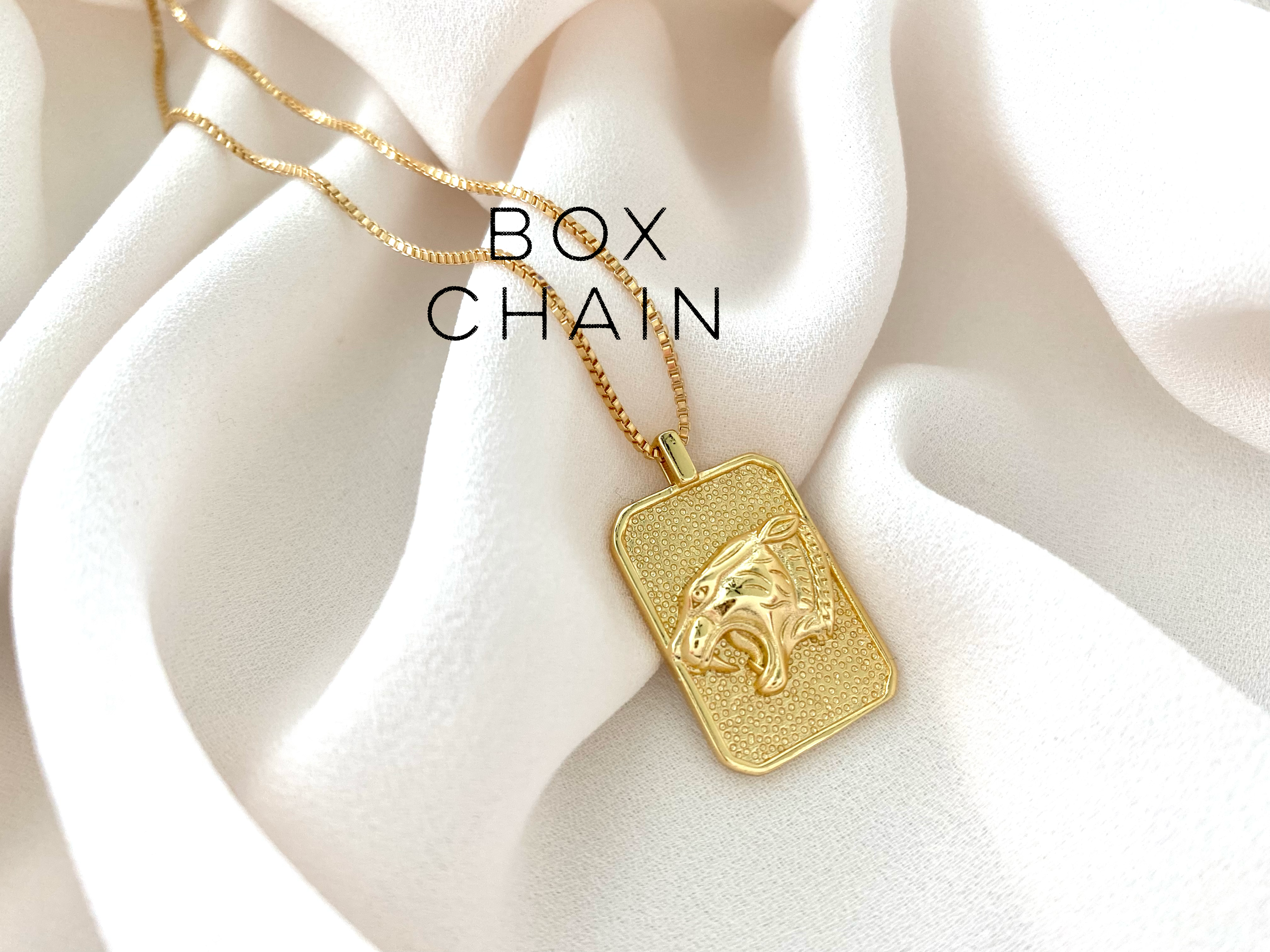 Gold Filled Lioness Rectangle Medallion Necklace The Cord Gallery