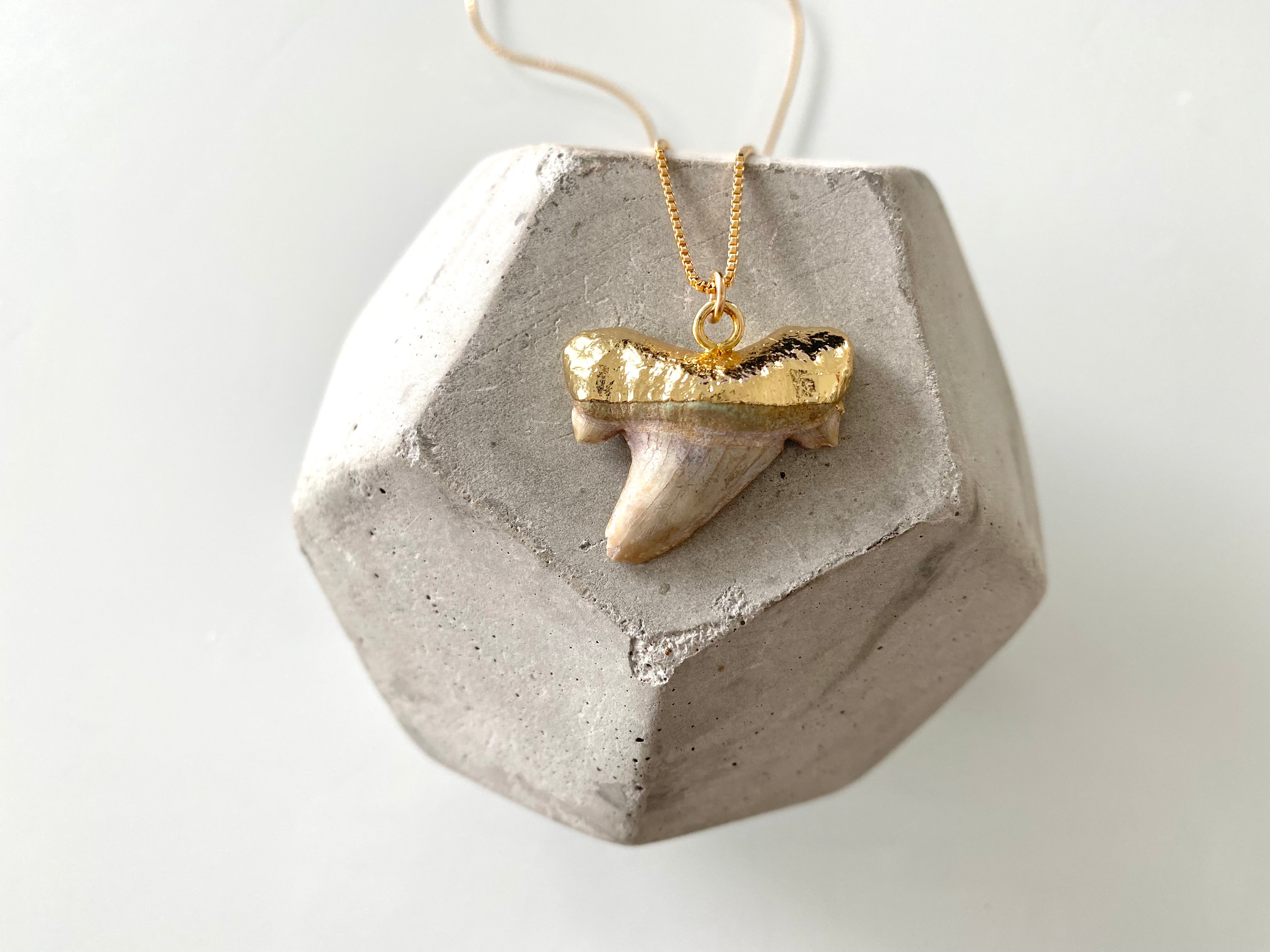 Genuine Chunky Shark Tooth Pendant Necklace - Gold