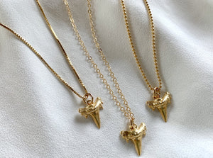 Dainty Gold Shark Tooth Pendant Necklace