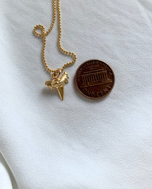 Dainty Gold Shark Tooth Pendant Necklace