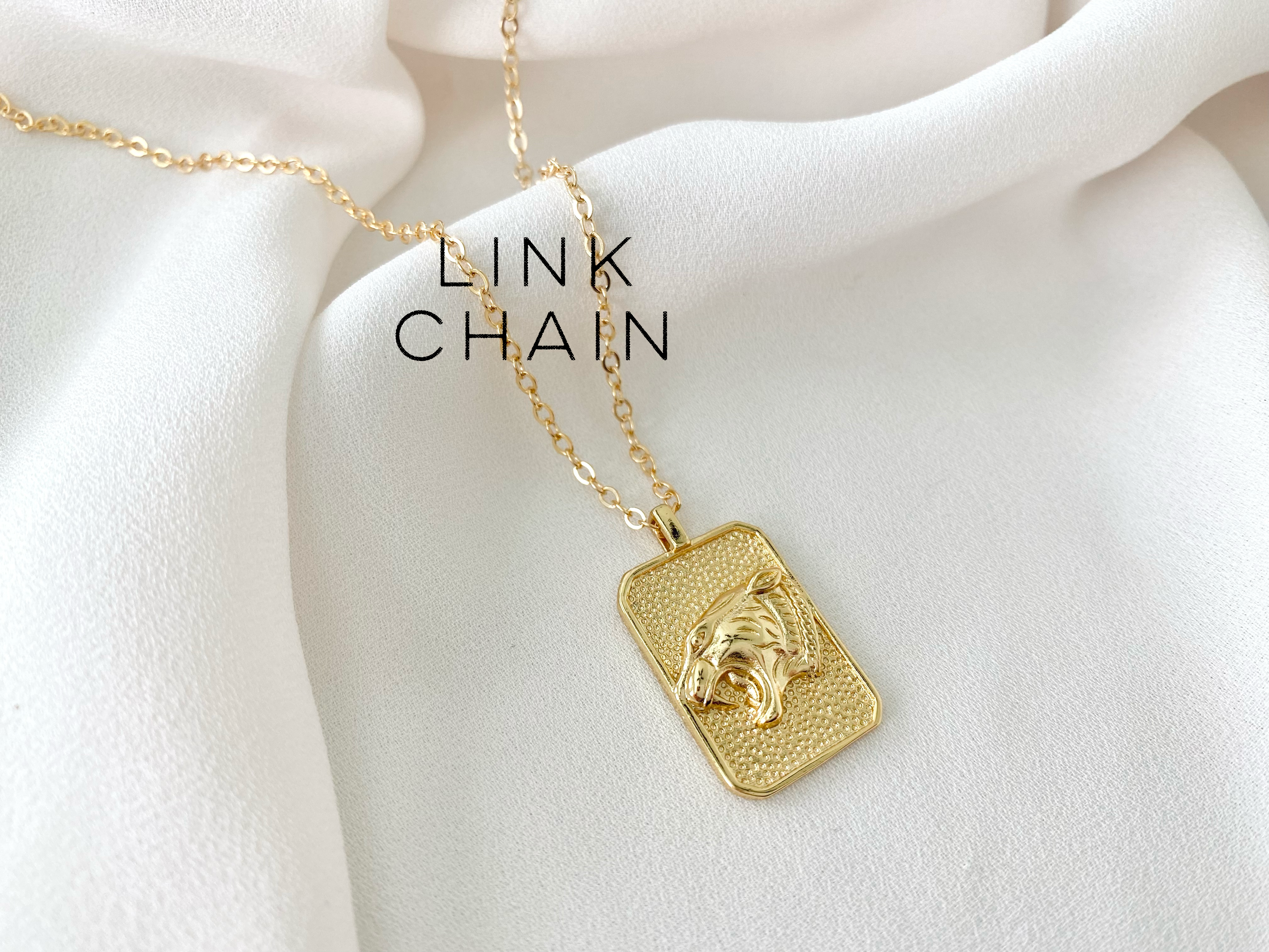 Gold Filled Lioness Rectangle Medallion Necklace