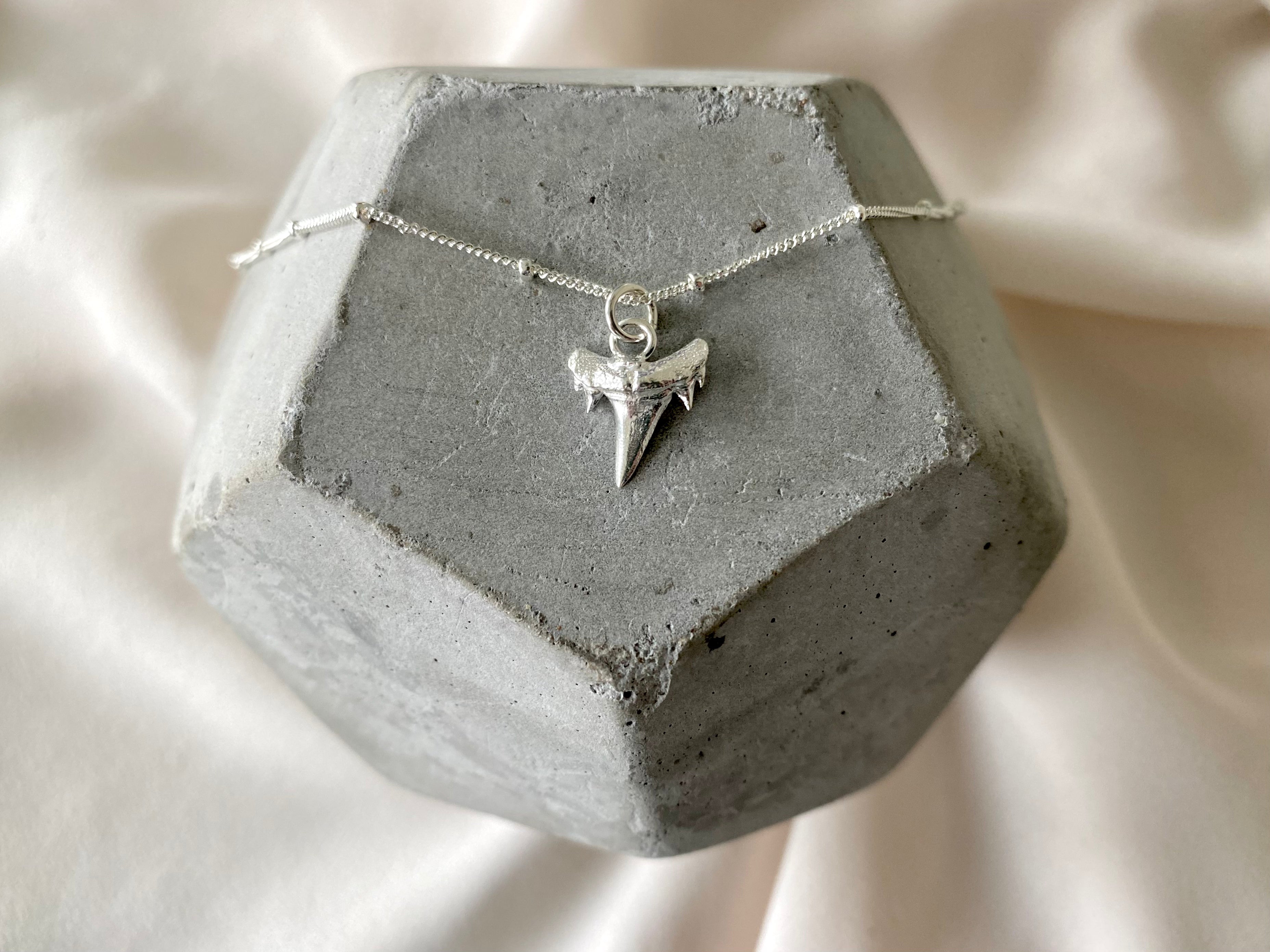 Dainty Sterling Silver Shark Tooth Pendant Necklace The Cord Gallery
